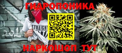 кокс Краснодар
