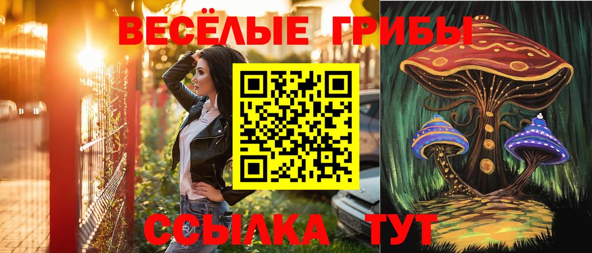 Галлюциногенные грибы мухоморы Тара